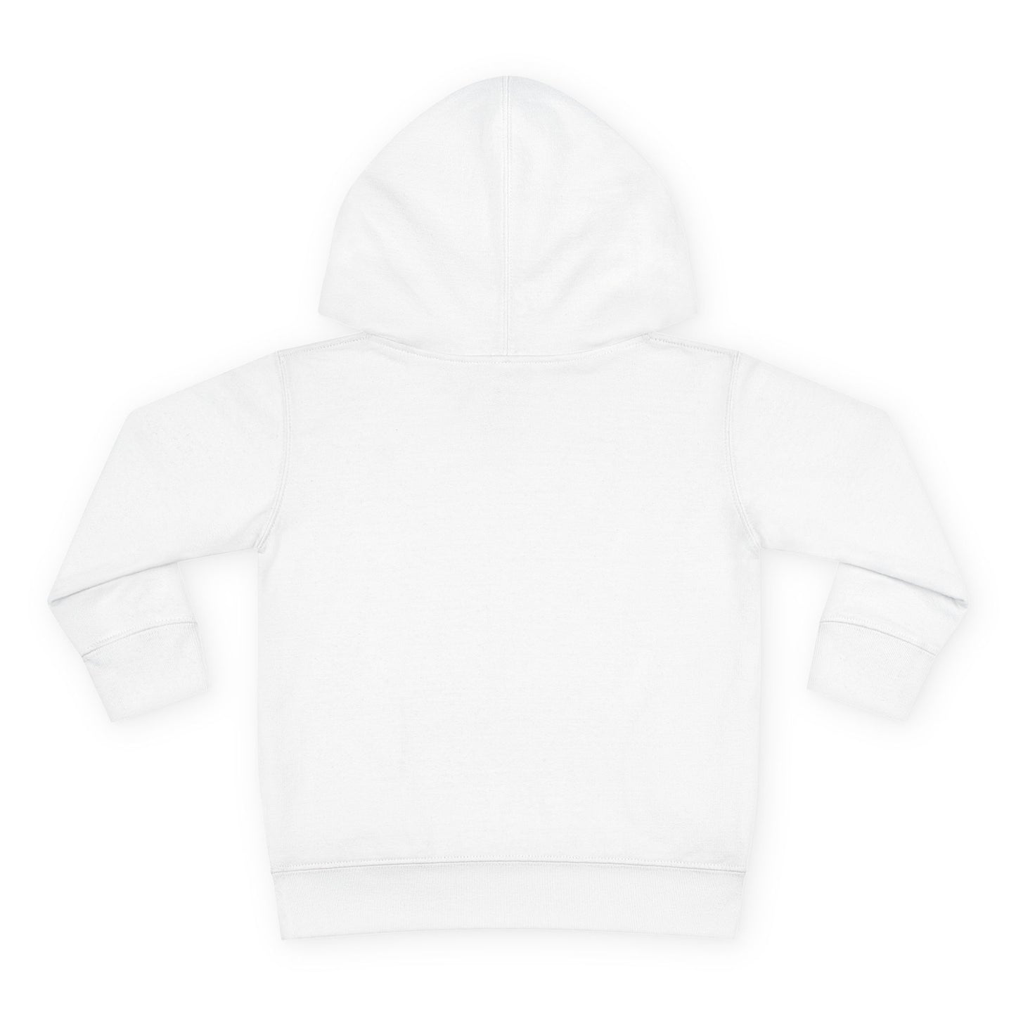 R&A Toddler Hoodie