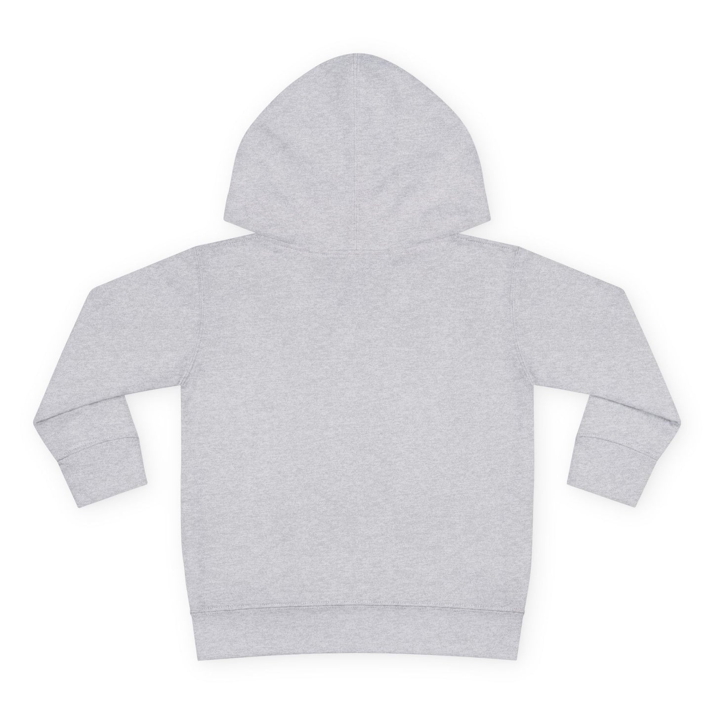 R&A Toddler Hoodie