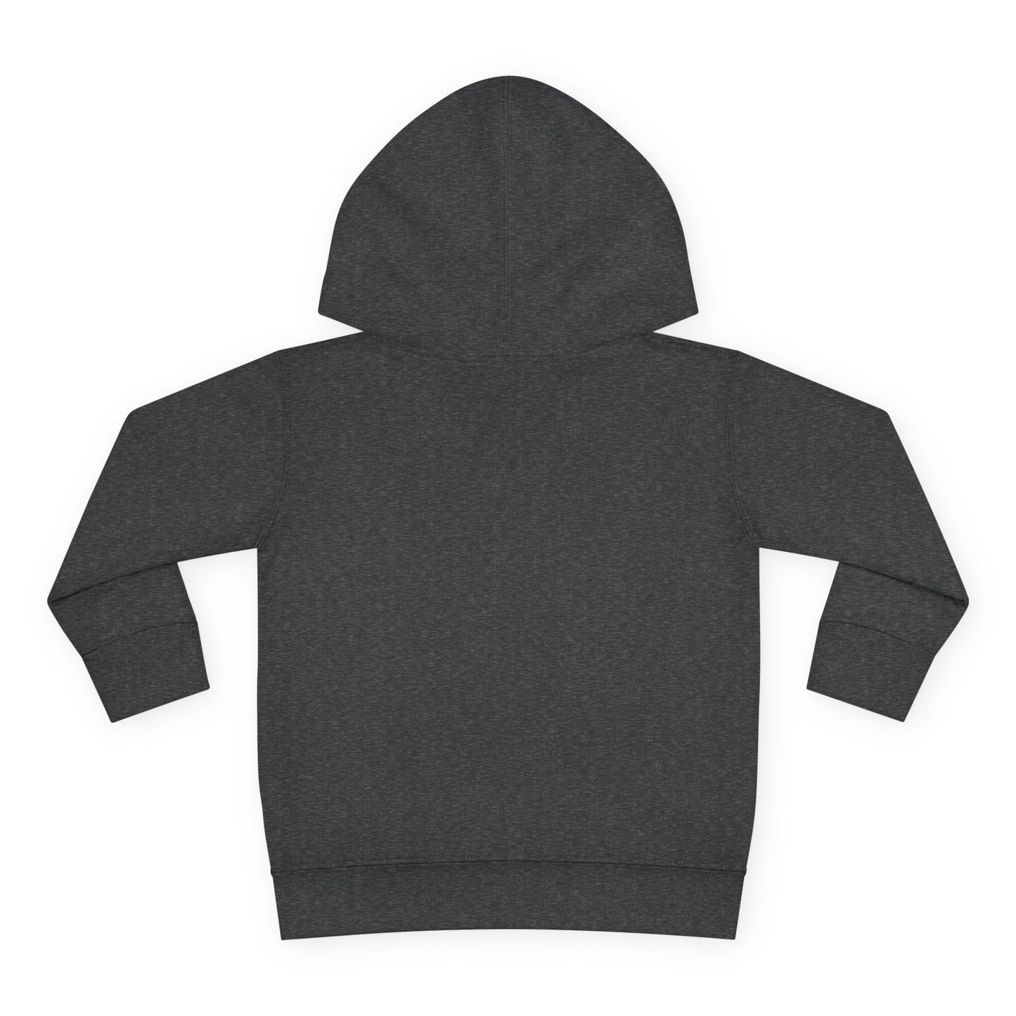 R&A Toddler Hoodie