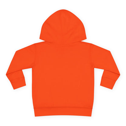 R&A Toddler Hoodie