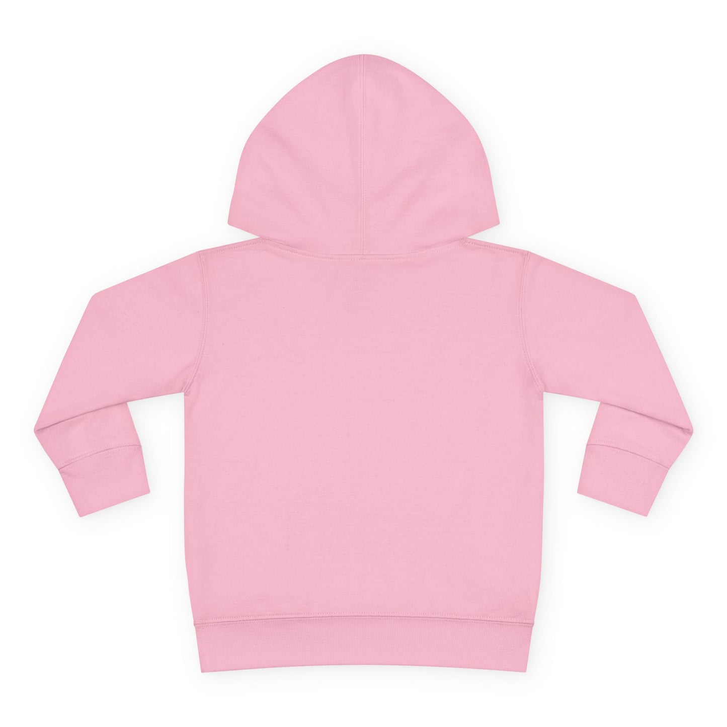 R&A Toddler Hoodie
